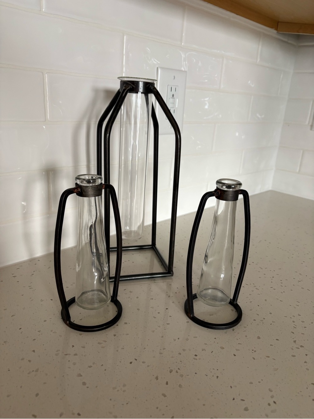Industrial Modern Glass Tube Bud Vases with Metal Cage (Set of Three)